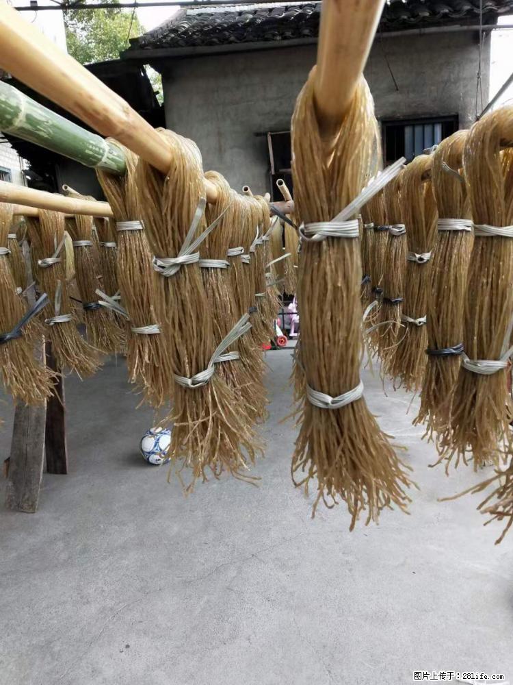 【灌阳正宗红薯粉】美女家里自己做的，干净卫生，假一赔十，价格合理，抢购电话：13737312895 - 美食天地 - 银川生活社区 - 银川28生活网 yinchuan.28life.net