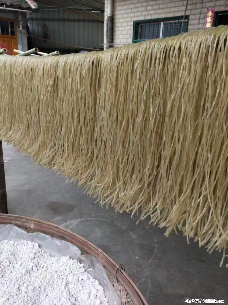 【灌阳正宗红薯粉】美女家里自己做的，干净卫生，假一赔十，价格合理，抢购电话：13737312895 - 美食天地 - 银川生活社区 - 银川28生活网 yinchuan.28life.net