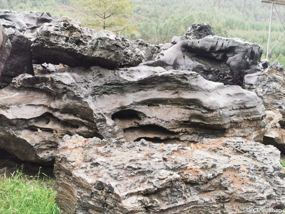 风景石、假山石大量有货，有需要的欢迎联系 - 新手上路 - 银川生活社区 - 银川28生活网 yinchuan.28life.net