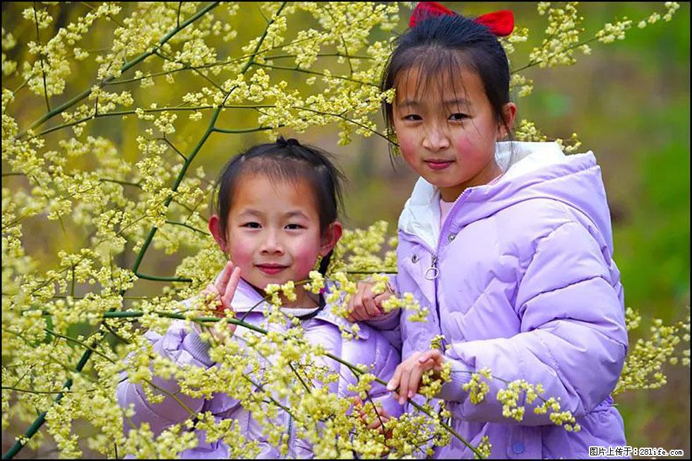 【春天，广西桂林灌阳县向您发出邀请！】米珠山前有片山苍子花在飘香 - 游山玩水 - 银川生活社区 - 银川28生活网 yinchuan.28life.net