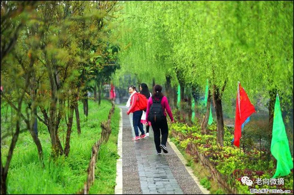【春天，广西桂林灌阳县向您发出邀请！】江口老街又逢春 - 游山玩水 - 银川生活社区 - 银川28生活网 yinchuan.28life.net