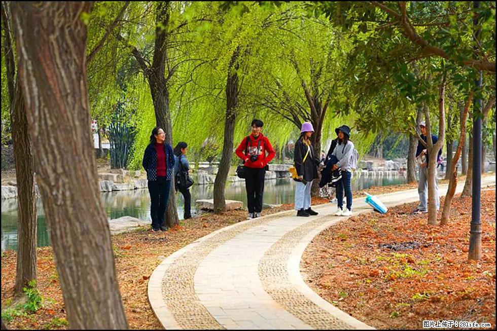 【春天，广西桂林灌阳县向您发出邀请！】江口老街又逢春 - 游山玩水 - 银川生活社区 - 银川28生活网 yinchuan.28life.net