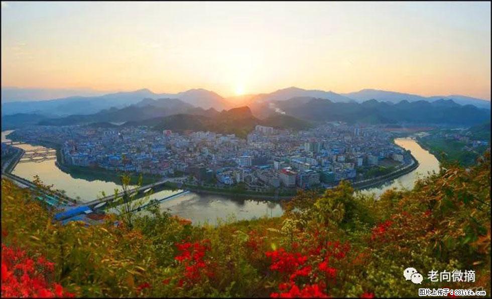 【春天，广西桂林灌阳县向您发出邀请！】登麒麟山，相约映山红 - 游山玩水 - 银川生活社区 - 银川28生活网 yinchuan.28life.net