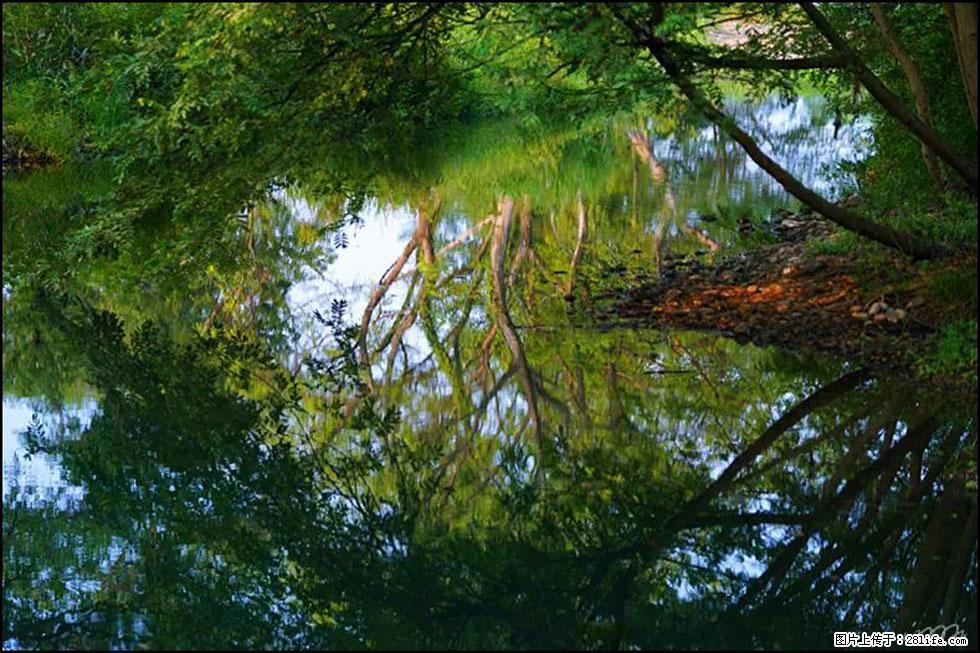 【春天，广西桂林灌阳县向您发出邀请！】熊家寨湿地公园 - 游山玩水 - 银川生活社区 - 银川28生活网 yinchuan.28life.net