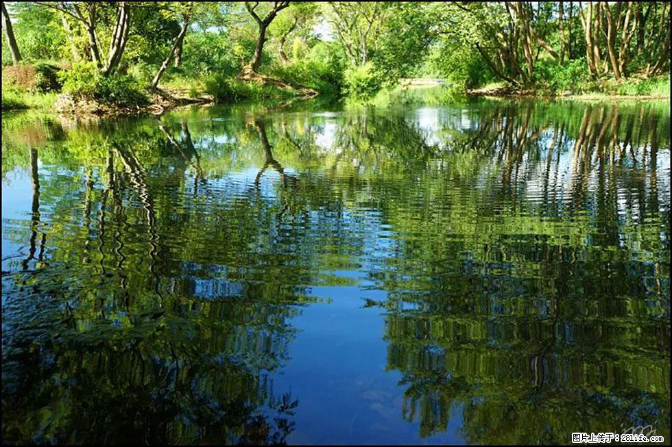 【春天，广西桂林灌阳县向您发出邀请！】熊家寨湿地公园 - 游山玩水 - 银川生活社区 - 银川28生活网 yinchuan.28life.net