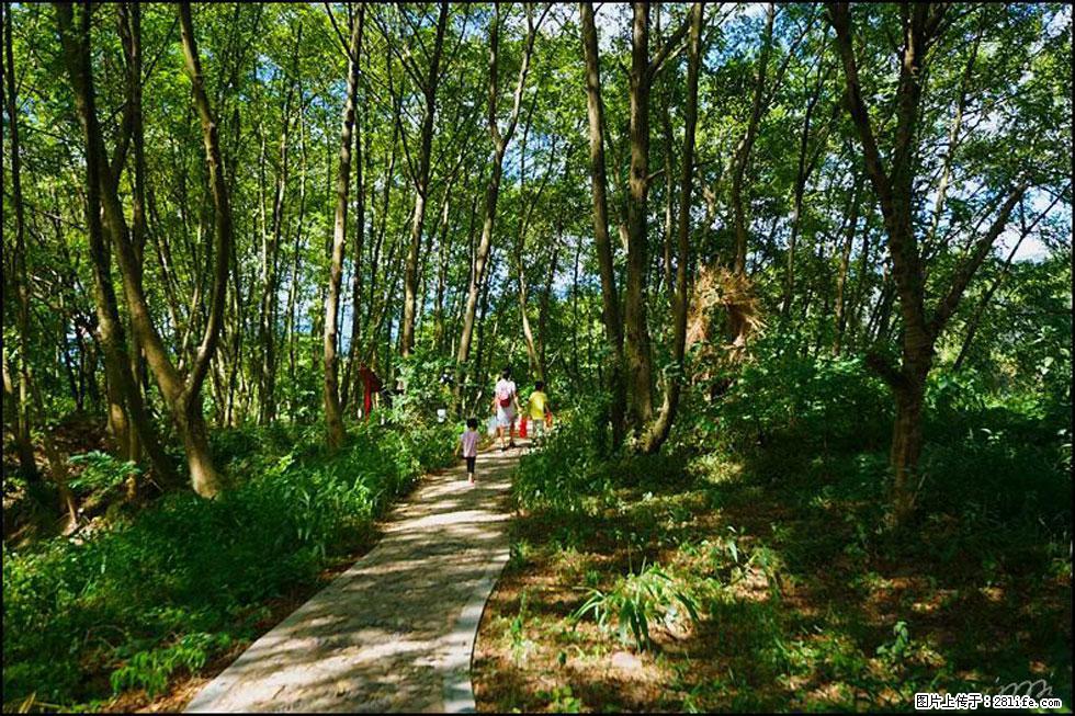 【春天，广西桂林灌阳县向您发出邀请！】熊家寨湿地公园 - 游山玩水 - 银川生活社区 - 银川28生活网 yinchuan.28life.net