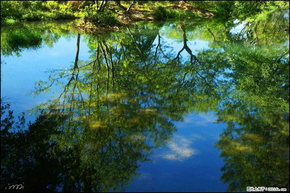 【春天，广西桂林灌阳县向您发出邀请！】熊家寨湿地公园 - 游山玩水 - 银川生活社区 - 银川28生活网 yinchuan.28life.net