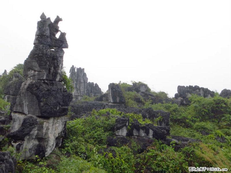 桂林旅游名城景点：灌阳文市石林 - 游山玩水 - 银川生活社区 - 银川28生活网 yinchuan.28life.net