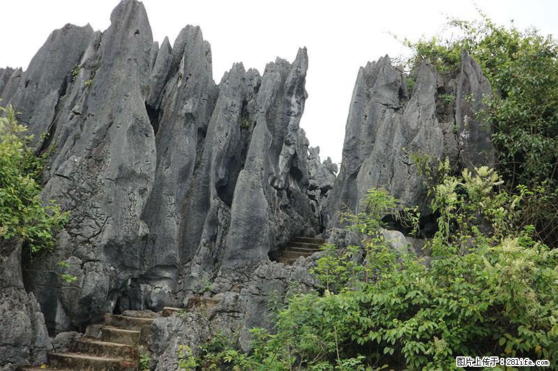 桂林旅游名城景点：灌阳文市石林 - 游山玩水 - 银川生活社区 - 银川28生活网 yinchuan.28life.net
