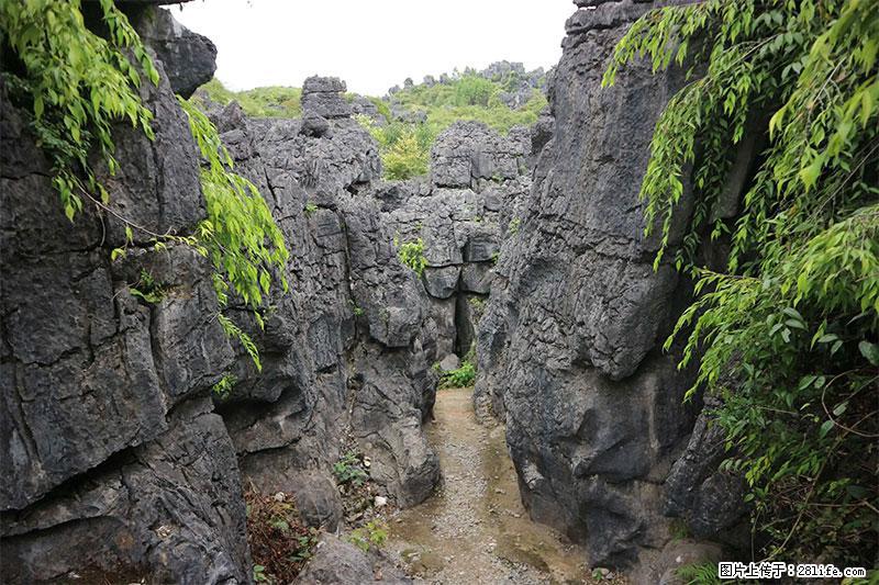 桂林旅游名城景点：灌阳文市石林 - 游山玩水 - 银川生活社区 - 银川28生活网 yinchuan.28life.net