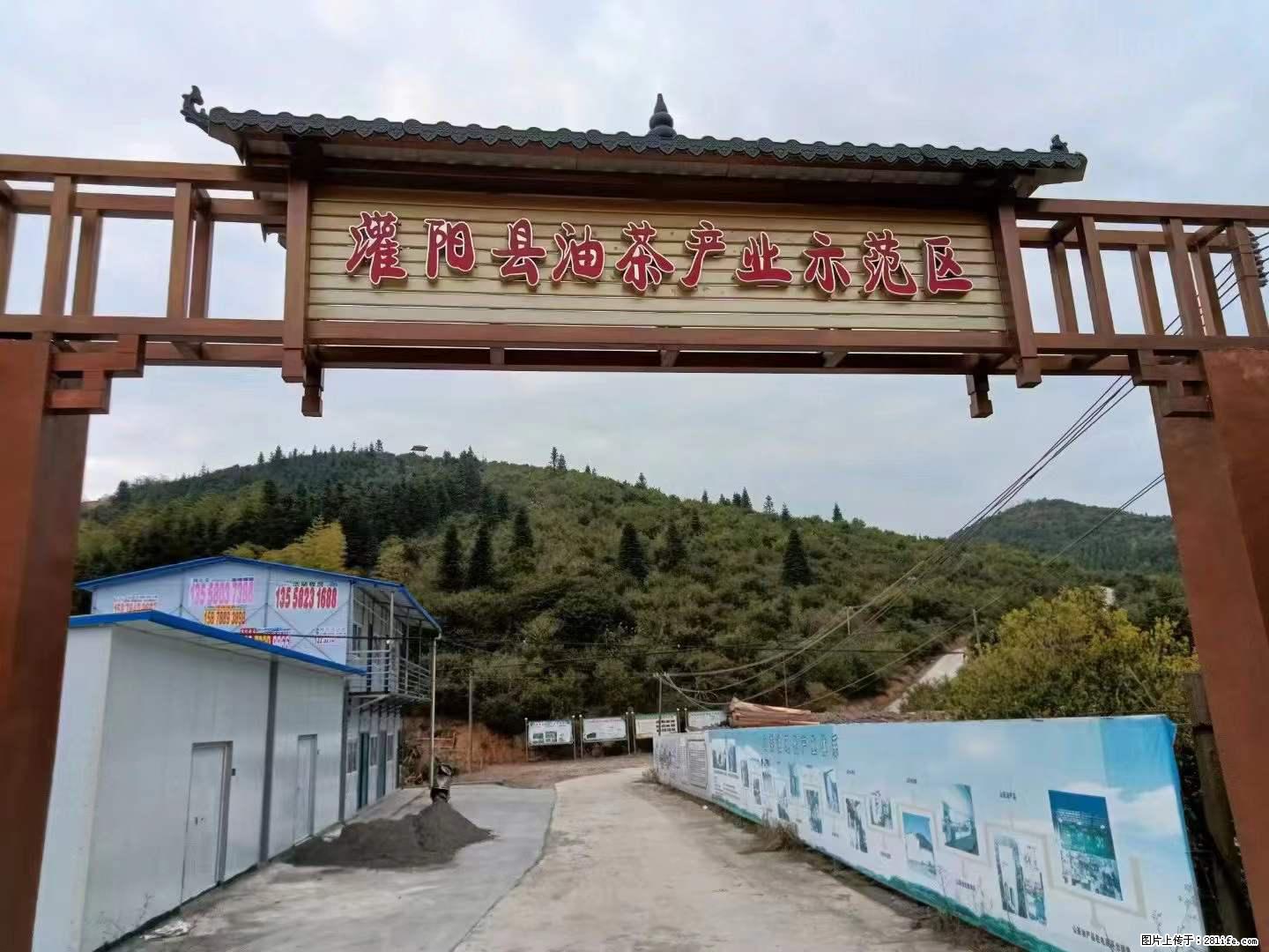 【灌阳县油茶产业示范区】一个有着充实的精神生活的人，对待身外之物自会有一种淡泊的态度 - 土特产 - 饮食特产 - 银川分类信息 - 银川28生活网 yinchuan.28life.net
