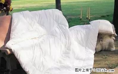 被子有异味？只要这样做，比晒太阳还强100倍！ - 家居生活 - 银川生活社区 - 银川28生活网 yinchuan.28life.net