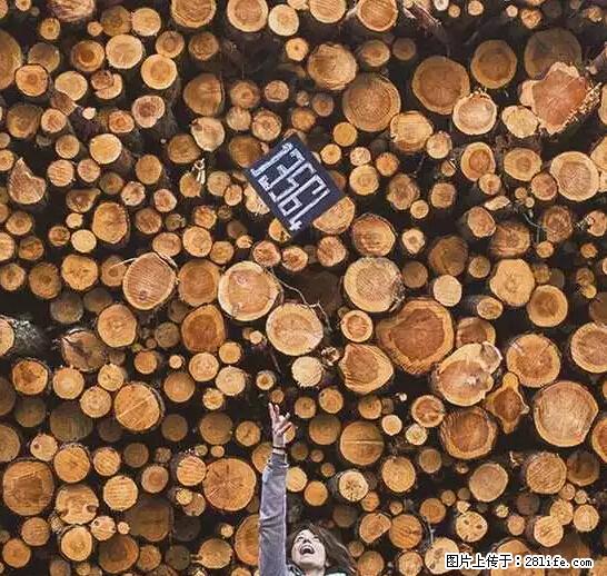 辞掉工作周游世界？现在他们在洗厕所…… - 游山玩水 - 银川生活社区 - 银川28生活网 yinchuan.28life.net