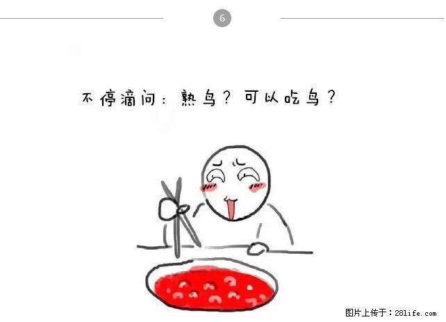 千万不要和这9种哈卵一起吃火锅！ - 美食天地 - 银川生活社区 - 银川28生活网 yinchuan.28life.net