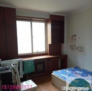 万达旁 鸣翠春天 三居室 随时看房 诚意出租 - 银川28生活网 yinchuan.28life.net