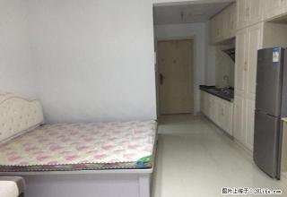 森林半岛精装家具家电齐全公寓 环境舒适 拎包入住 欢迎来电 - 银川28生活网 yinchuan.28life.net