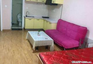 只需押一付一悦海新天地精装亮色温馨公寓拎包入住随时看房 - 银川28生活网 yinchuan.28life.net