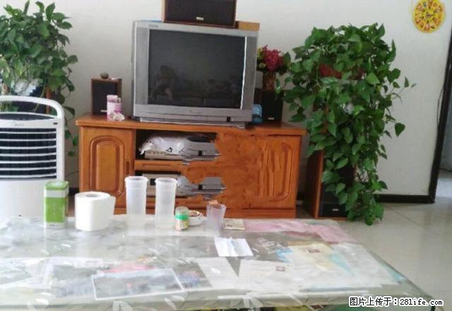 清河北街金三角景墨家园好房出租 - 房屋出租 - 房屋租售 - 银川分类信息 - 银川28生活网 yinchuan.28life.net