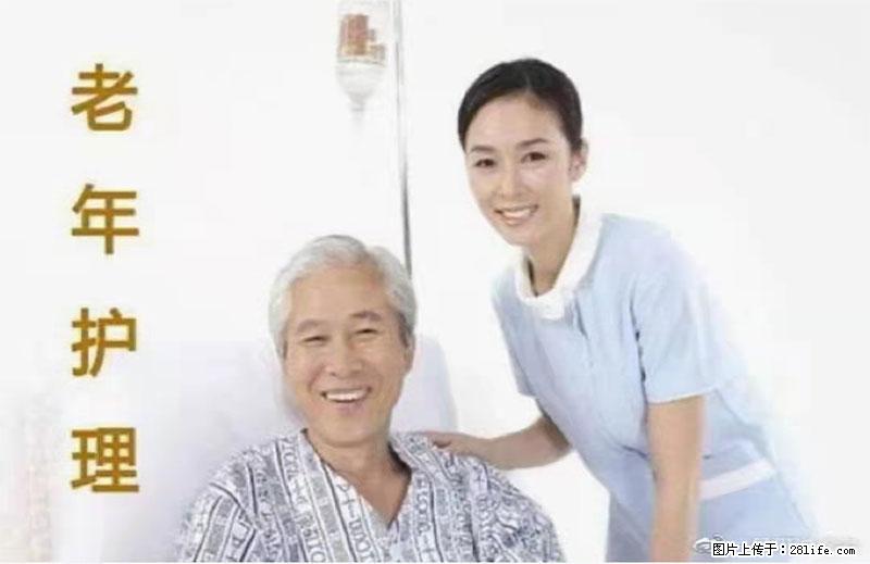 上海国企养老院，星级酒店环境，招聘养老护工 - 职场交流 - 银川生活社区 - 银川28生活网 yinchuan.28life.net