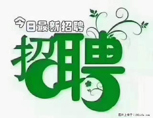 【招聘摄像师】待遇：试用期6000元/月，转正7000元/月+五险一金+餐补+节日福利+奖金 - 其他招聘信息 - 招聘求职 - 银川分类信息 - 银川28生活网 yinchuan.28life.net