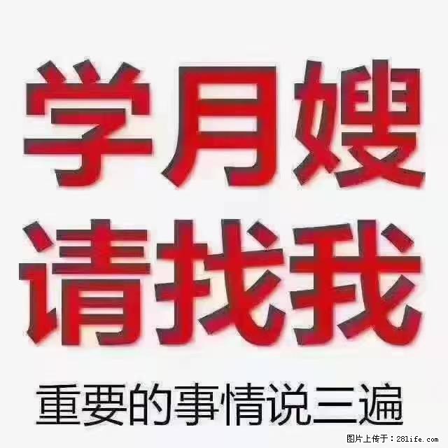 【招聘】月嫂，上海徐汇区 - 职场交流 - 银川生活社区 - 银川28生活网 yinchuan.28life.net
