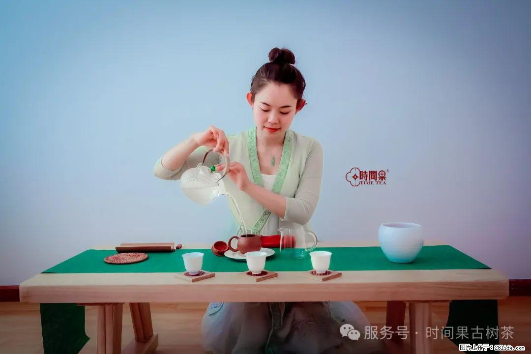 时间果百年古树龙珠普洱生茶 - 购物交流 - 银川生活社区 - 银川28生活网 yinchuan.28life.net