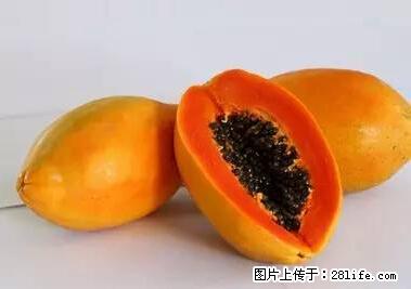 晕车、脚气、牙齿变黄、皮肤粗糙？学会这些三分钟搞定！ - 银川生活资讯 - 银川28生活网 yinchuan.28life.net