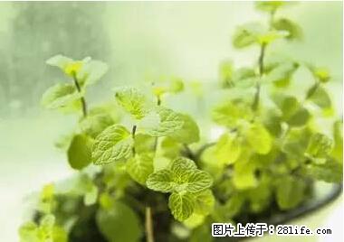 晕车、脚气、牙齿变黄、皮肤粗糙？学会这些三分钟搞定！ - 银川生活资讯 - 银川28生活网 yinchuan.28life.net