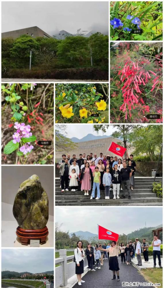 “粤灌文化 美好生活”油茶文化主题活动在广东深圳成功举办 - 银川生活资讯 - 银川28生活网 yinchuan.28life.net
