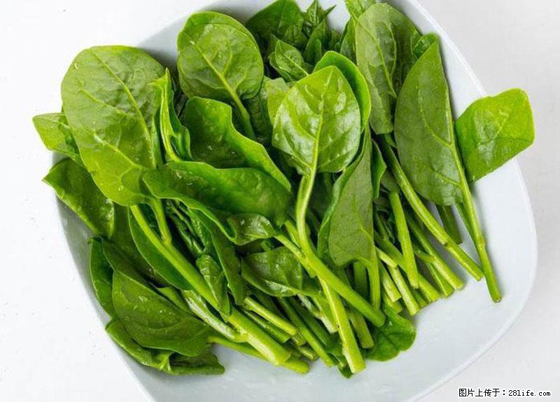 这些蔬菜是“天然钙片”，这6种被医生重点推荐 - 银川生活资讯 - 银川28生活网 yinchuan.28life.net