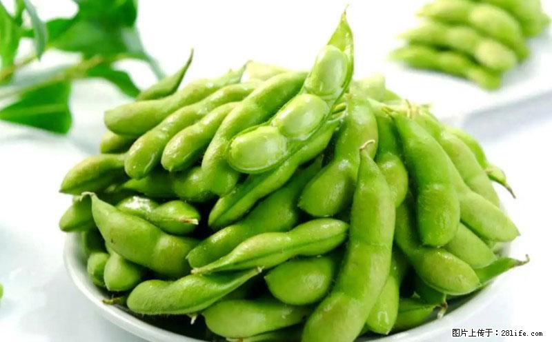 这些蔬菜是“天然钙片”，这6种被医生重点推荐 - 银川生活资讯 - 银川28生活网 yinchuan.28life.net