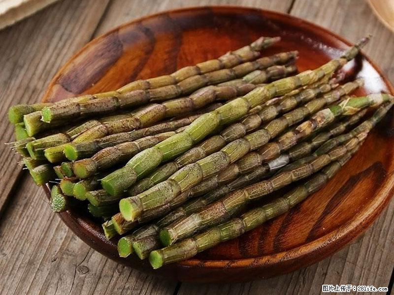 铁皮石斛的作用与功能主治 - 银川生活资讯 - 银川28生活网 yinchuan.28life.net