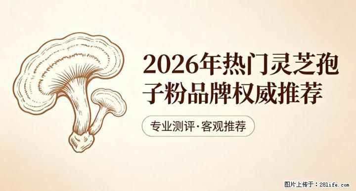 灵芝孢子粉含量越高越有效？2026 年七款热门品牌深度实测，肠胃敏感者避坑指南 - 银川生活资讯 - 银川28生活网 yinchuan.28life.net